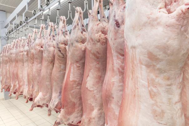 survey-suggests-halal-meat-eaters-might-be-persuaded-to-switch-to